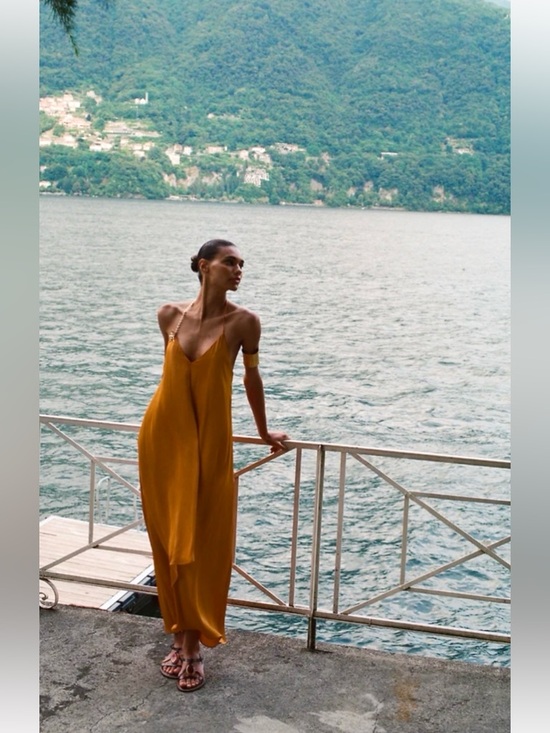 NWT Zara Satin Effect Midi Dress with Gold floral appliqué in Burnt Orange Sz M - Picture 15 of 16